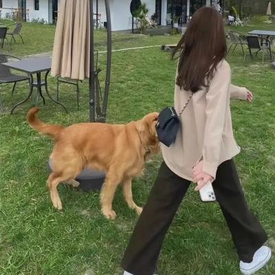 很久以后的未来